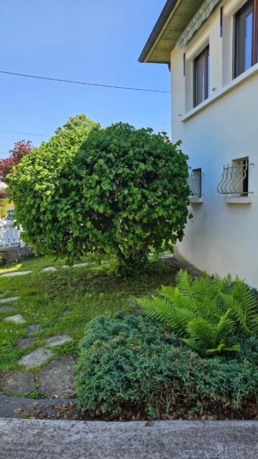 Villa La Moraine Thonon-les-Bains Bagian luar foto